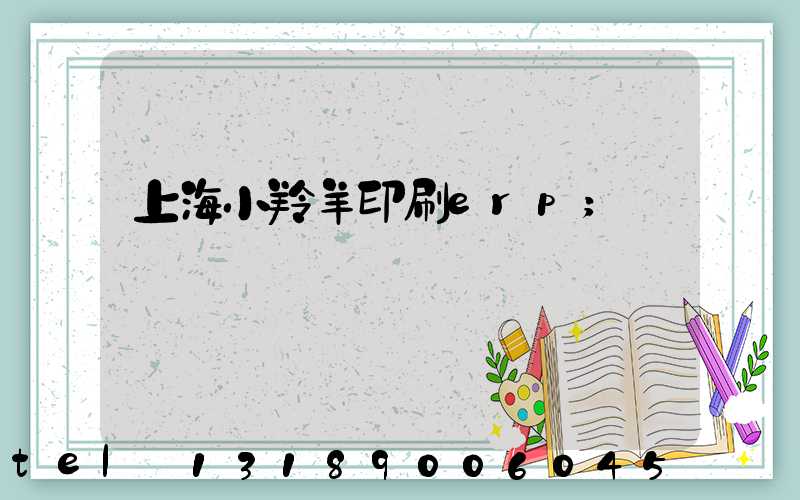 上海小羚羊印刷erp