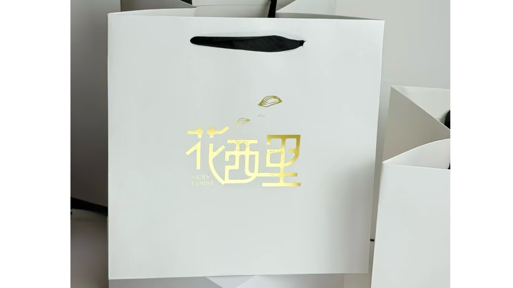 卷筒燙金機(jī)TJQ1200